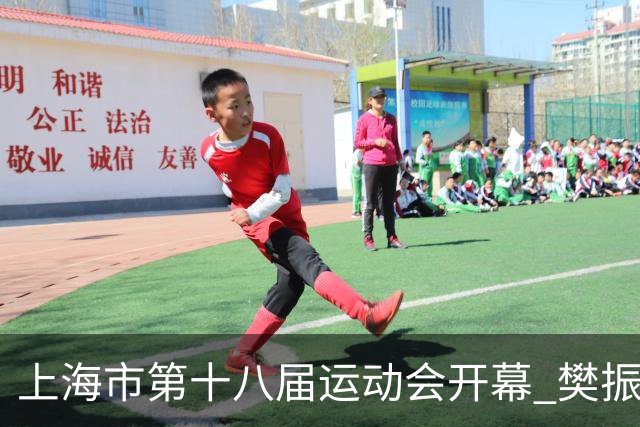 上海市第十八届运动会开幕 樊振东、吴敏霞等体坛名将助阵
