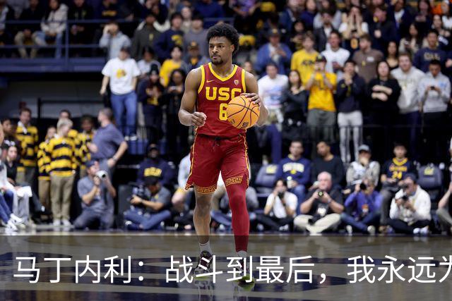 马丁内利：战斗到最后，我永远为阿森纳队徽而战