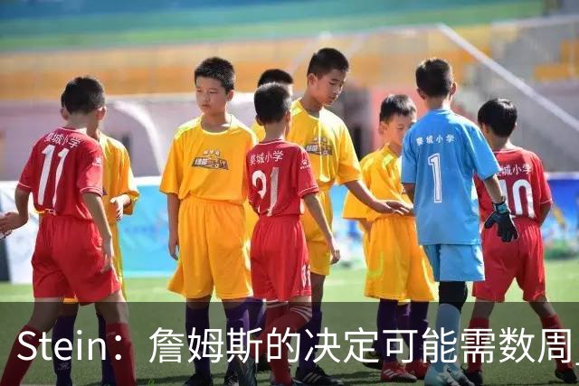 Stein：詹姆斯的决定可能需数周 回骑士具有童话结局优势